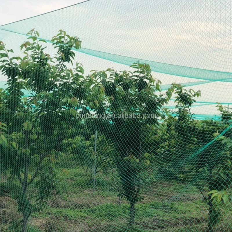 Pool Cover Pond Netting Protective Cover Netting Pond Skimmer Net With