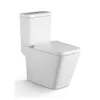China Manufacturer Luxury Sanitary Ware Ceramic Wc Toilet Square Shape Toilet