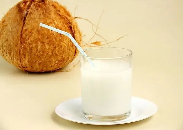 water solution pure coconut cream powder for drinking