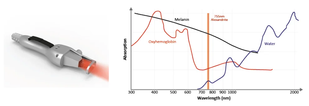 paste-pic-dp_uuid_pc0nv