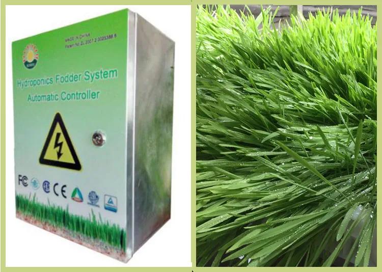 Hydroponic system 3.jpg