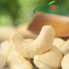 Chinese wholesale W320 raw cashew nut