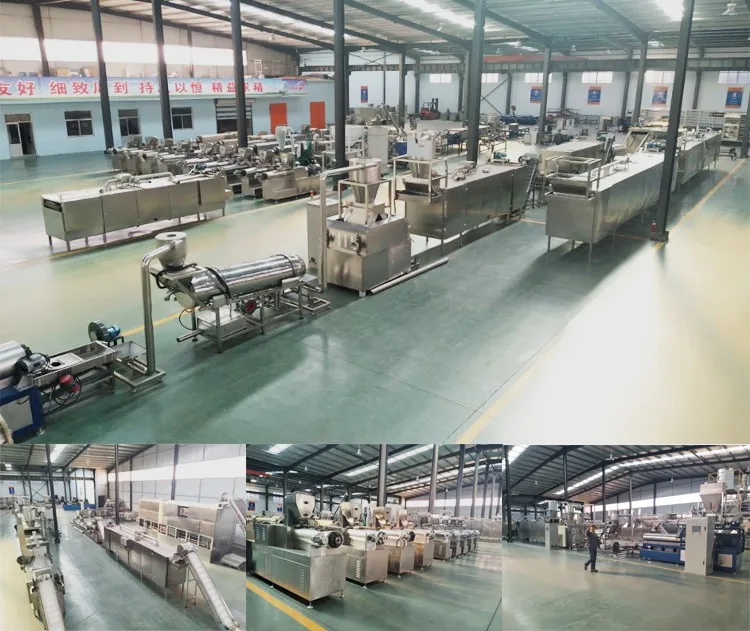 dry pet food pellet making extruder equipment pet food processing machine dog food extrusion machine