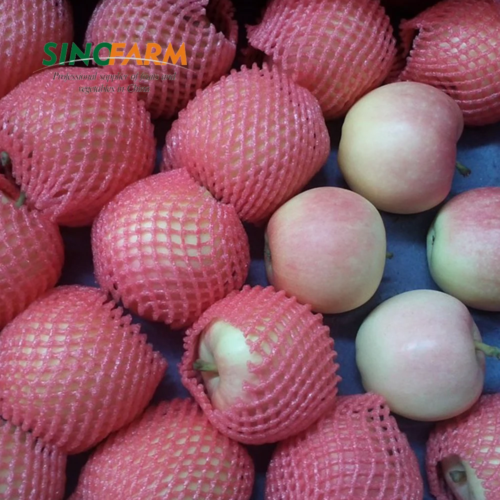 Chinese Apple Supplier Fresh Sweet Apple Fruit - Buy China Fresh Apple