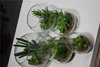2017 New and Hot Plant decorative artificial mini cactus/ succulent bonsai