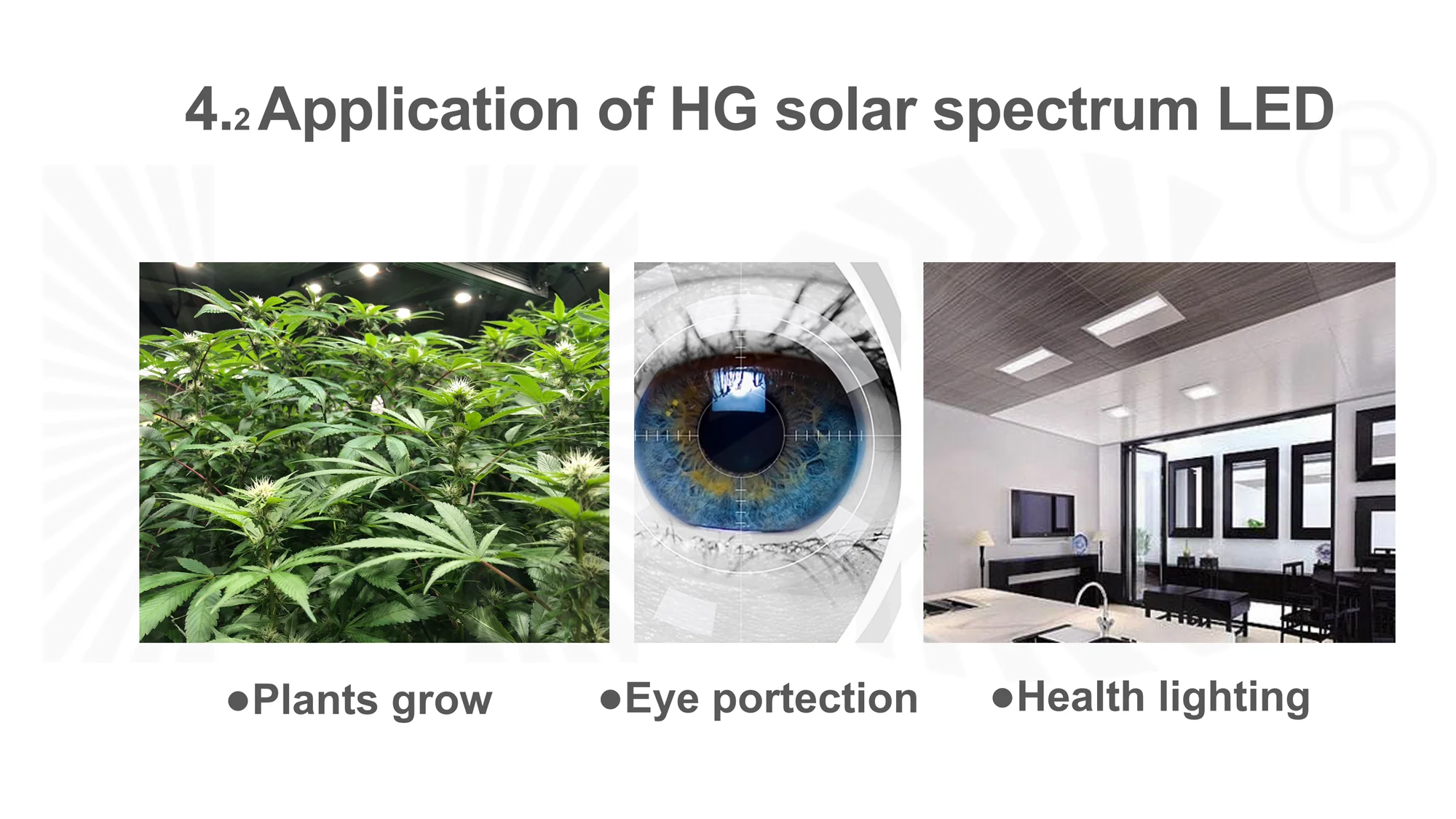 Health Lighting High Cri Ra98 Analog Solar Spectrum Led Lamp 5000k