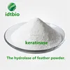 /product-detail/high-quality-keratinase-cas-9014-01-1-enzymes-in-additives-60791530429.html