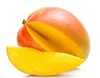 High Quality Mango Tree seedling Mangifera indica