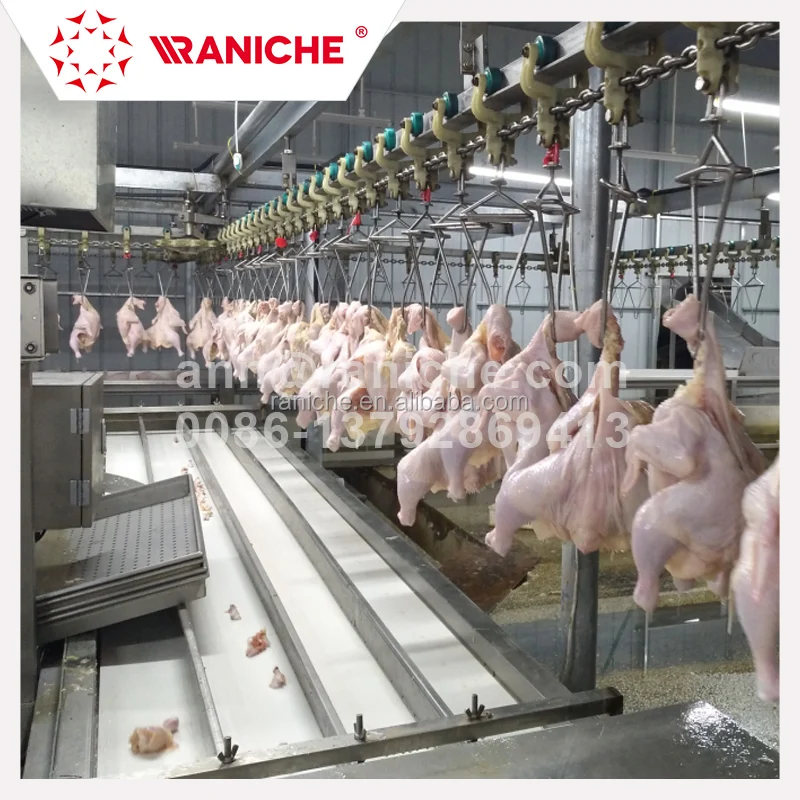 Industrial meat processing equipment – pork or poultry equipment for sale