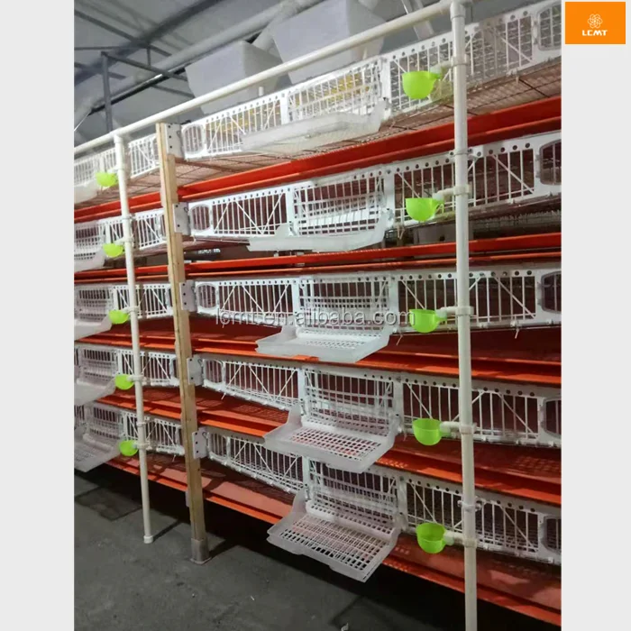 plastic quail cage 4.png