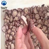New design and hot sell betel nut slicer