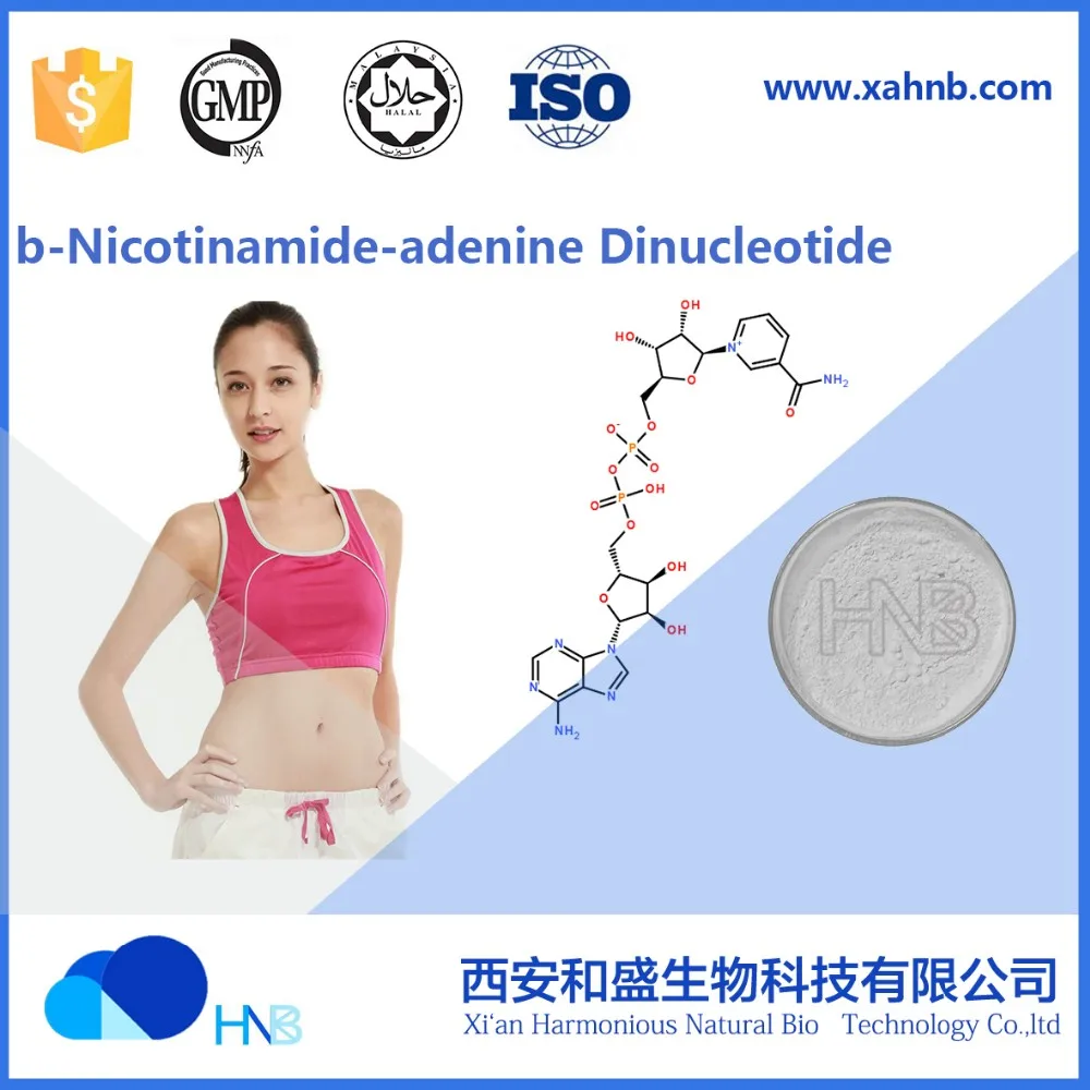 HNB factory supply b-Nicotinamide-adenine Dinucleotide Reduced NADH CAS No 606-68-8