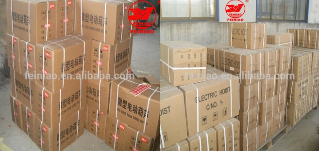 Factory Direct High Quality PA500 Mini Electric Wire Rope Hoist 220v New Co<em></em>ndition High Lifting Capacity Electric Hoist