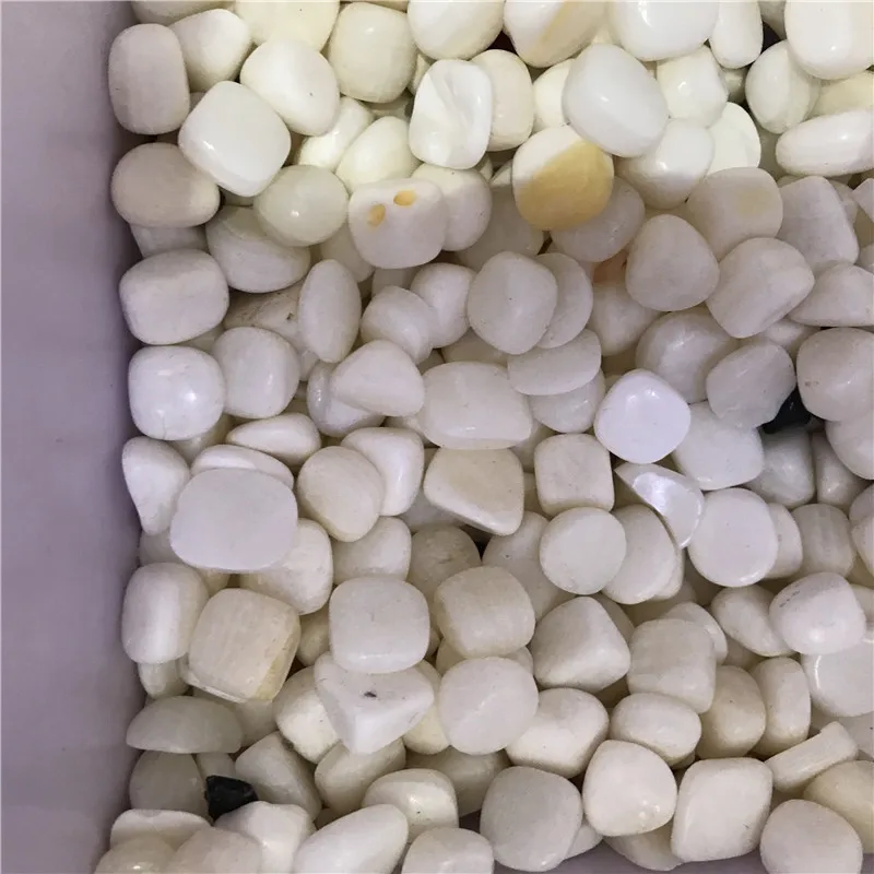 Natural White巨大ハマグリ砂利シャコガイ巨大クラムシェル研磨石販売のため Buy 巨大ハマグリ砂利 巨大クラムシェル 巨大貝砕石 Product On Alibaba Com