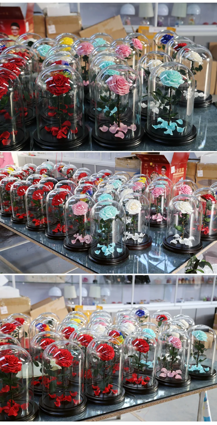 rose-in-glass-dome.png