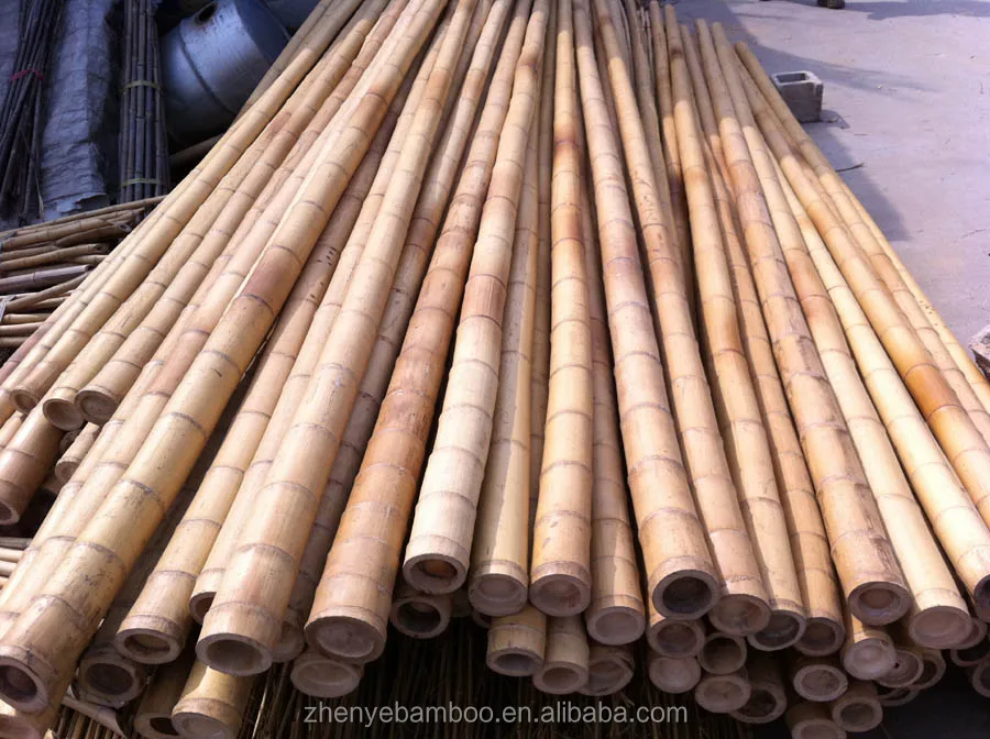 Penjualan Terbaik Zy 1010 Tiang Bambu  Asli Bambu  Moso 