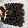 Wholesale kinky curly hair indian remy #2 dark brown human hair extensions i tip