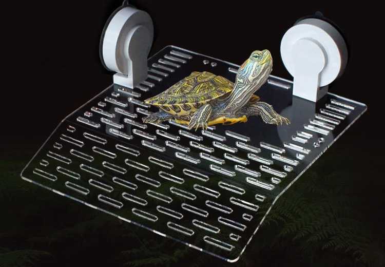 Wholesale Turtle Stairs Terrarium Reptile Accessories - Buy Terrarium 