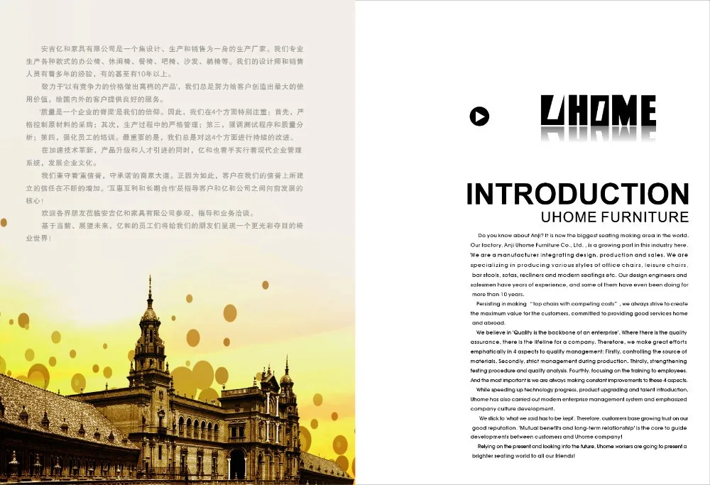 luxury living room furniture