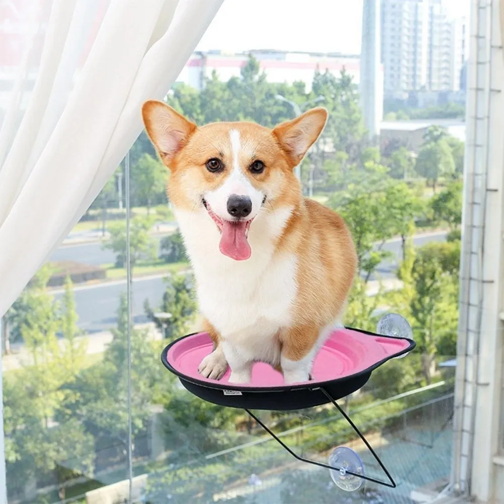 Space Saving Funny Cat Scratcher Sill Cat Window Perch Buy Cat