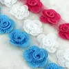Pleated Chiffon Lace,Border Embroidered Lace for Garment