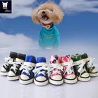 converse shoes for dogs
