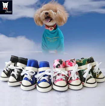 converse dog shoes