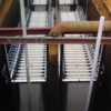 Sewage Treatment System Hollow Fiber Ultra Filtration Module With PVDF for MBR Membrane Bio Reactor