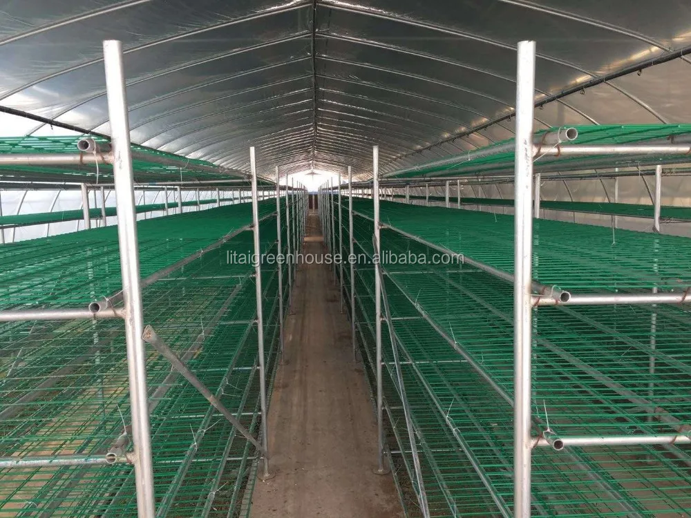 Greenhouse For Mushroom - Buy Greenhouse For Mushroom,Commercial ...