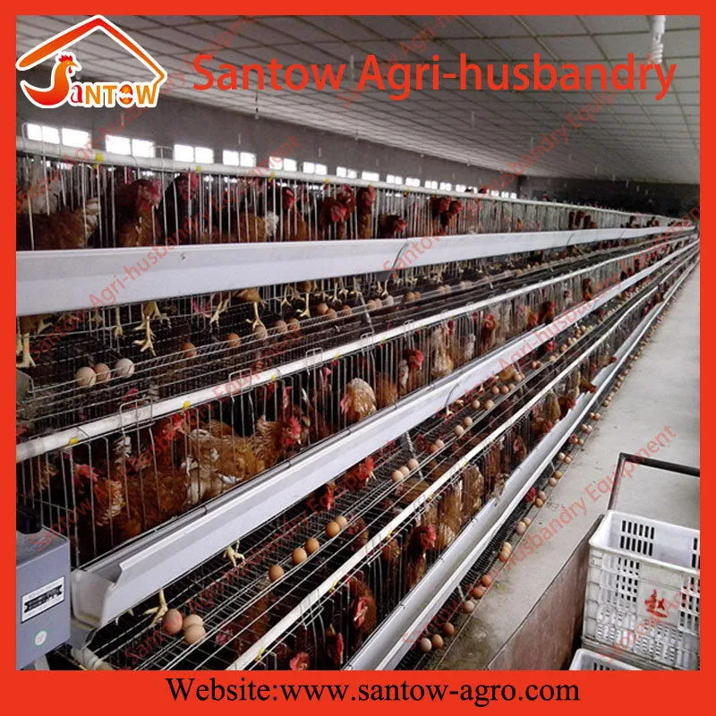 A frame 3 tiers chicken cages poultry cage laying hen cages for farm