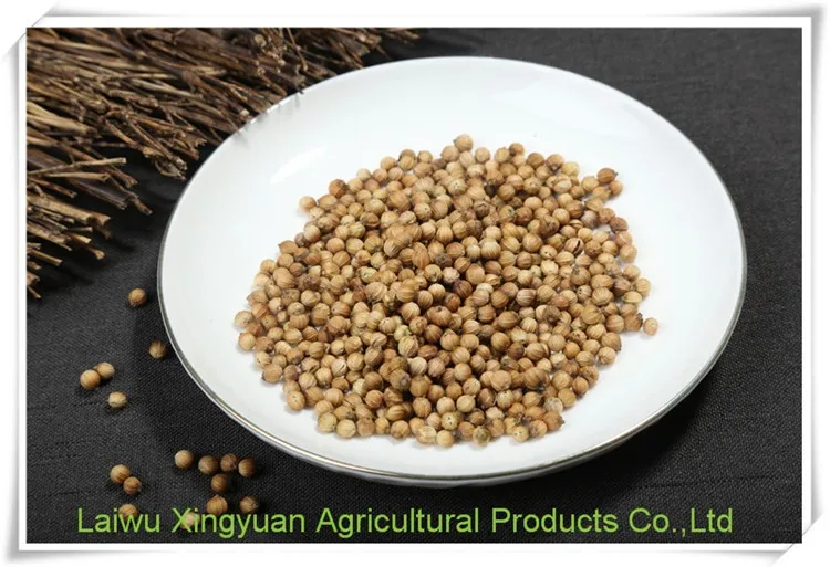 high quality natural wholesale prices of coriander seeds