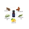 Low Moq High Quality first distillation essential oil set 6 bottle / 10ml therapeutic grade