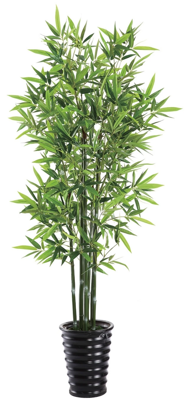 2015 china new products outdoor artificial money tree 2015 china new products outdoor artificial money tree