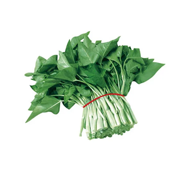 green leaf green stem kongxin cai kangkong water