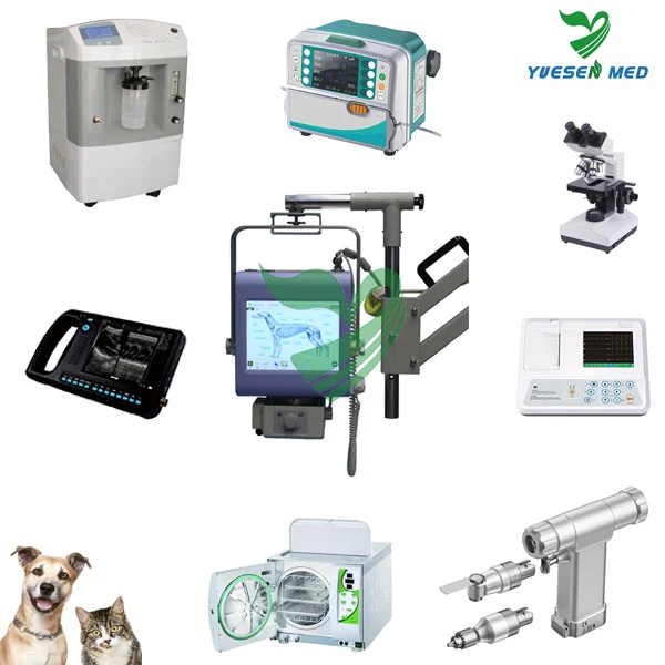 Fully Automated Care Testing Veterinary Blood Equipment Buy