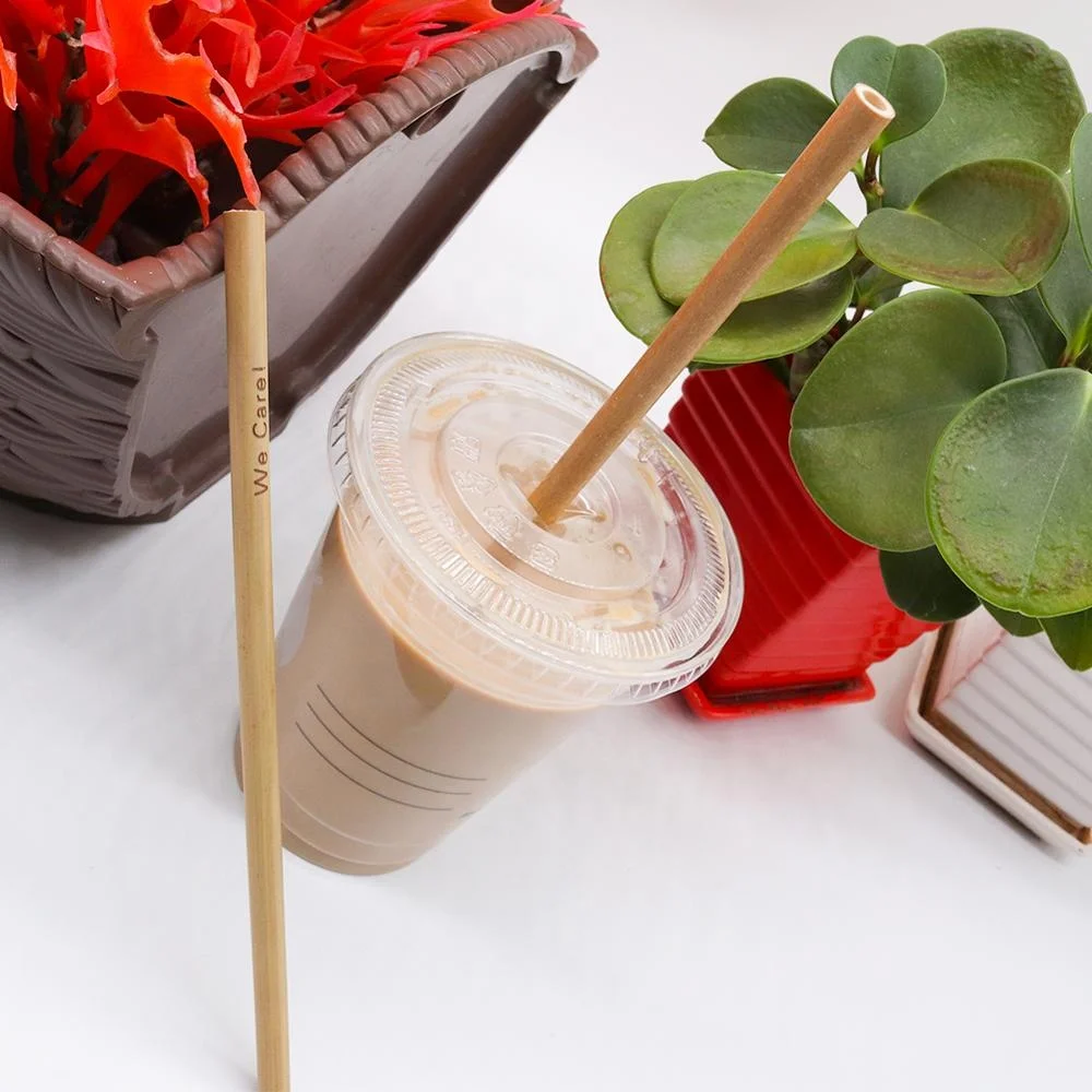 New Products Sustainable Eco Friendly Product Customized Logo Natural