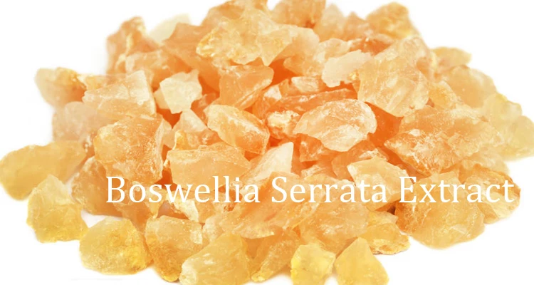 Boswellia Serrata Extract