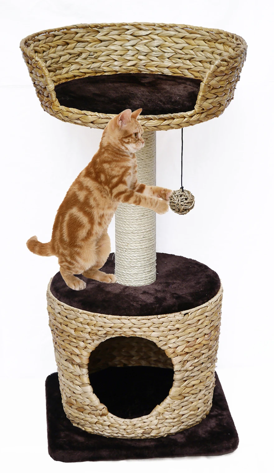 Arbre A Chat En Feuille De Banane Jouet Pour Animaux Domestiques Tour Simple A Gratter Livraison Gratuite Buy Poteau A Gratter Tour A Gratter Poteau A Gratter Product On Alibaba Com