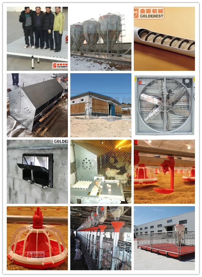 Broiler Feeding Pan system for Poultry Equipment Auger feeder in Brioler Farm