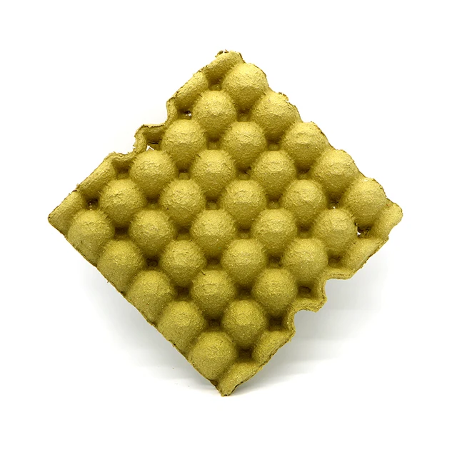 china paper pulp egg tray buyer