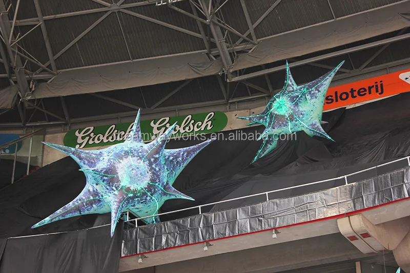 IMG_1963 Star.jpg