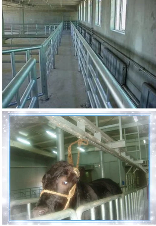 cattle/cattle carcass body lift cattle slaughterhouse equipment cattle slaughtering equipment