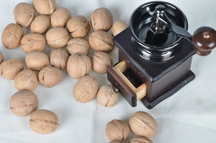 China Red Date With Walnut Raw Meat Nuts Exporters
