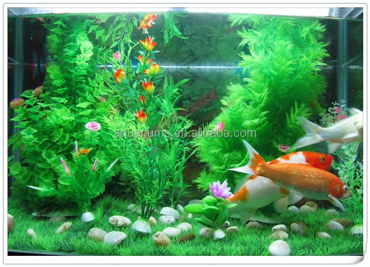 760+ Filter Aquarium Koki HD