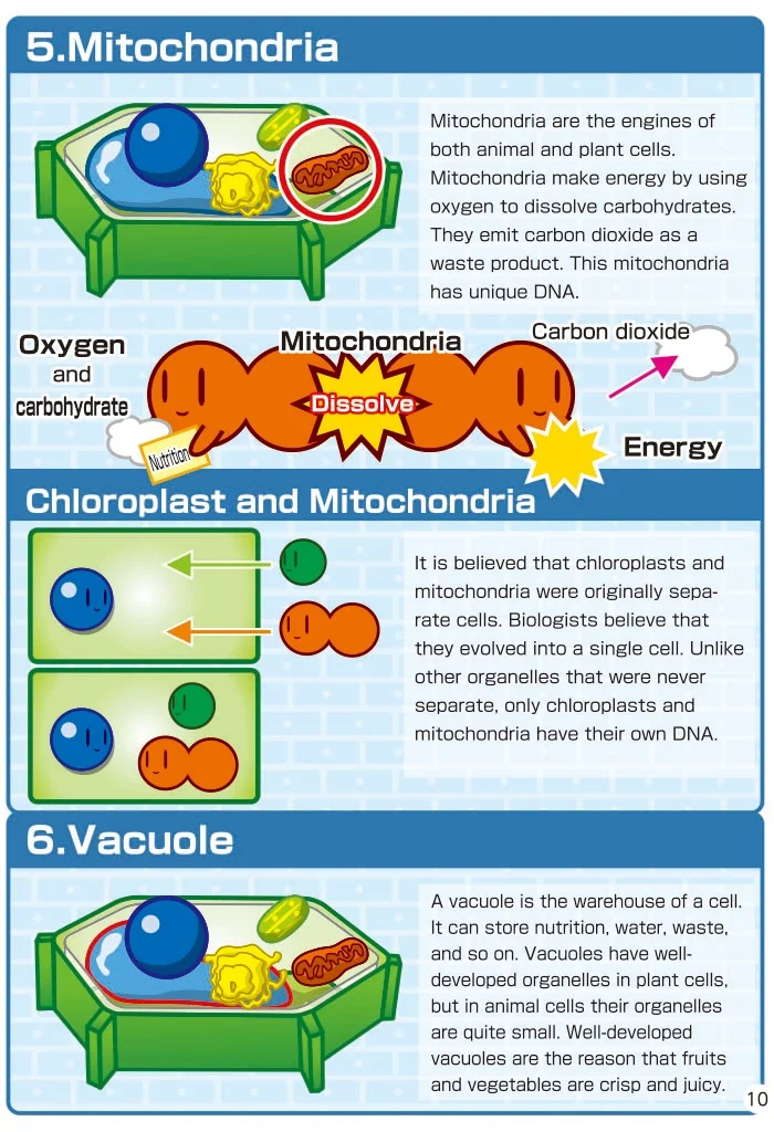 TXS-106 -Cell of life -9.jpg