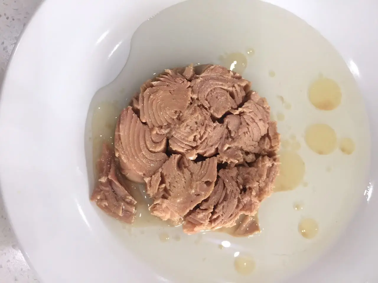 canned tuna solid 7.jpg