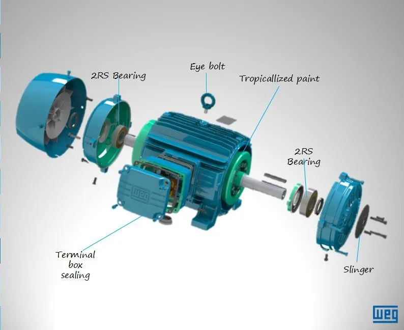 Weg Brand Ie4 Motors 4kw 6p 1000rpm B3 Foot Mounted Three-phase 