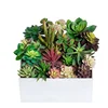 /product-detail/cheap-wholesale-decorative-mini-cactus-assortment-outdoor-indoor-hanging-arrangement-artificial-plants-succulent-for-sale-62133809200.html