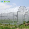 New Single-span Sun Protection for Greenhouse Construction Cost