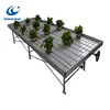 factory supply multi level greenhouse grow rolling bench with trays